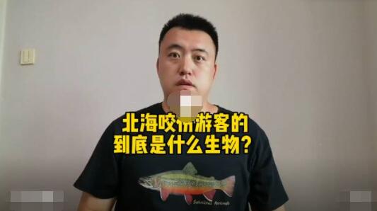 科普博主称北海伤人可能是公牛真鲨 背后真相实在让人惊愕