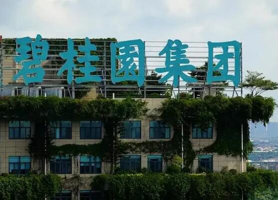 碧桂园:公司债券兑付存在不确定性 内幕曝光简直太意外了