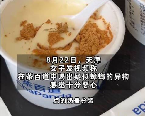 茶百道回应顾客疑在奶盖中吃到蟑螂 画面曝光简直不忍直视